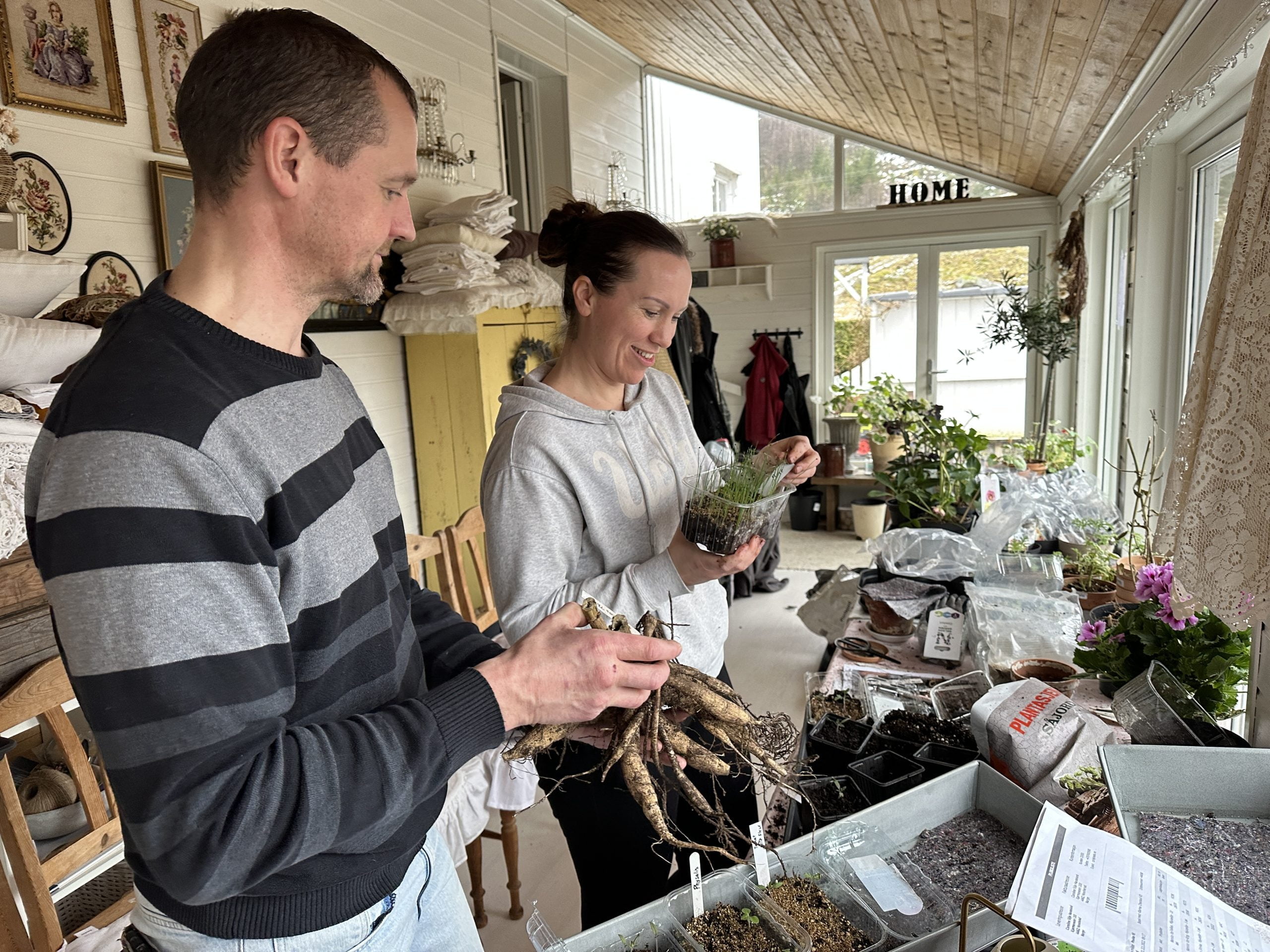 Hans Arne Haugland holder en georgine-knoll, og Caroline Handeland holder opp en dureboks med planter i.