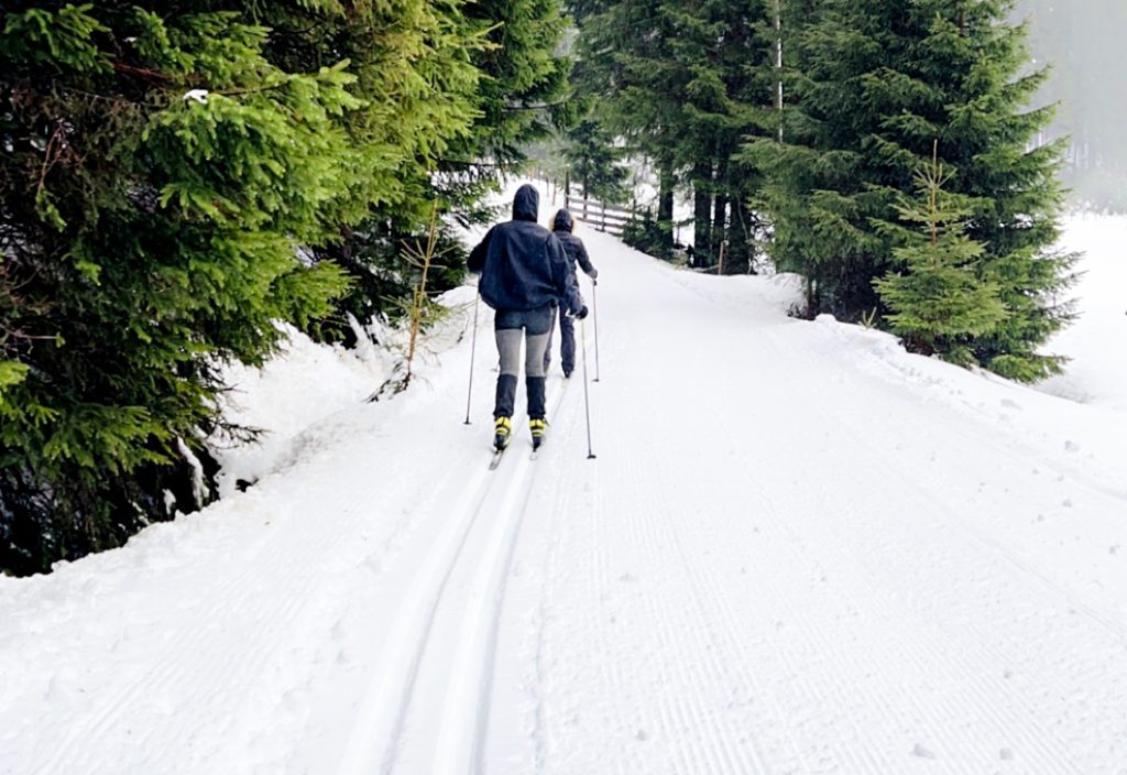 utsnitt av bilde fra skitur på Sætra i Lund kommune. Vi ser to skiløpere foran oss i sporet.