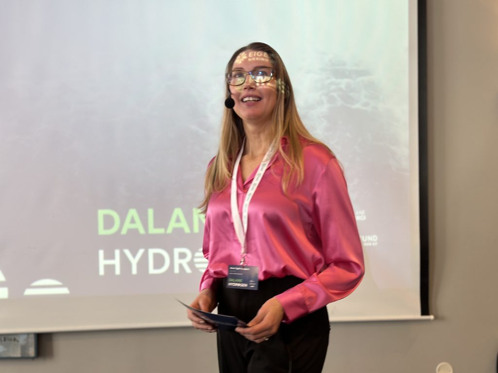 Anne Vigdis Ellingsen er avtroppende daglig leder i Eigersund næring og havn. Her har hun på seg en rosa bluse foran en presentasjon med tittelen "Dalane Hydrogen"